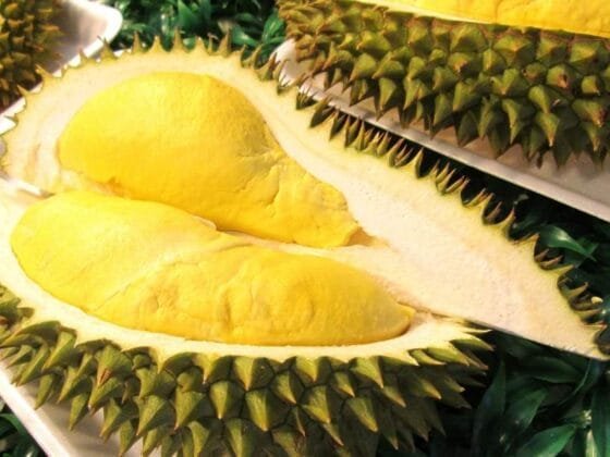6 Jenis Durian yang Biasa Kita Dengar